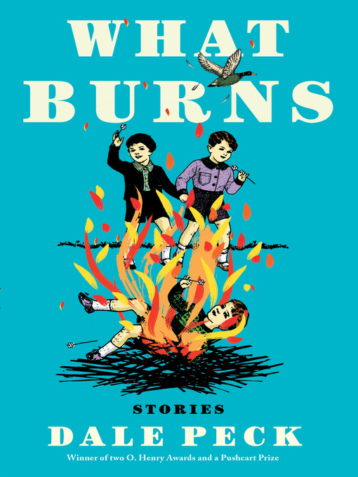 Cover image for What Burns